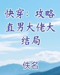 快穿：攻略直男大佬大结局小说免费阅读