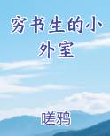 穷书生的小外室