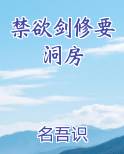 禁欲剑修要洞房