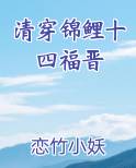 清穿锦鲤十四福晋