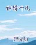 神婿叶凡