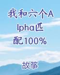 我和六个Alpha匹配100%