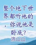 整个地下世界都听他的，你说他是卧底？
