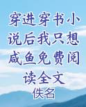 穿进穿书小说后我只想咸鱼免费阅读全文