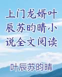 上门龙婿叶辰苏昀晴小说全文阅读