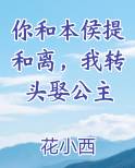 你和本侯提和离，我转头娶公主推荐小说