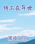 特工在异世
