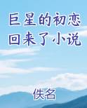 巨星的初恋回来了小说