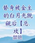 替身被金主的白月光觊觎后【总.攻】
