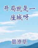 开局就是一座城呀