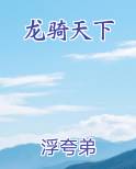 龙骑天下