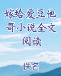 嫁给爱豆他哥小说全文阅读