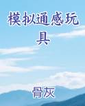 模拟通感玩具TXT小说