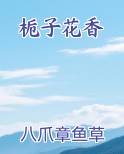 栀子花香免费小说