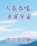 人在吞噬，浪穿宇宙小说全集