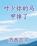 叶少你的马甲掉了
