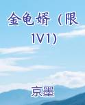 金龟婿（限 1V1）原著小说