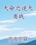 天命之逆天盾战
