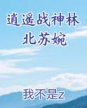 逍遥战神林北苏婉在线阅读小说