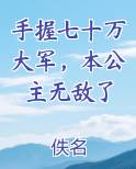 手握七十万大军，本公主无敌了