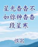 星光杳杳不如你钟杳杳段星寒
