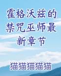 霍格沃兹的禁咒巫师最新章节