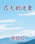 匹夫的逆袭