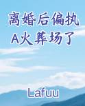 离婚后偏执A火葬场了免费观看