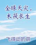 全球天灾，木筏求生