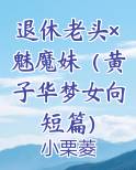 退休老头×魅魔妹（黄子华梦女向短篇）