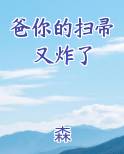爸你的扫帚又炸了