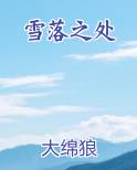 雪落之处
