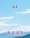 A4