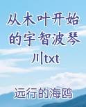从木叶开始的宇智波琴川txt