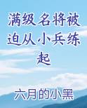 满级名将被迫从小兵练起