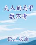 夫人的马甲数不清