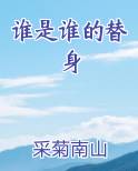 谁是谁的替身