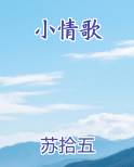 小情歌在线阅读全文