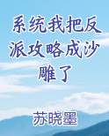 系统我把反派攻略成沙雕了