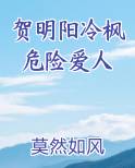 贺明阳冷枫危险爱人