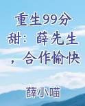 重生99分甜：薛先生，合作愉快