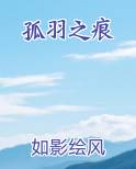 孤羽之痕