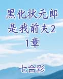 黑化状元郎是我前夫21章