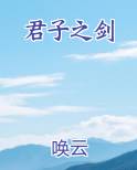 君子之剑