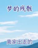 梦的残骸小说全集