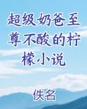 超级奶爸至尊不酸的柠檬小说