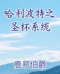 哈利波特之圣杯系统小说推荐