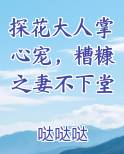 探花大人掌心宠，糟糠之妻不下堂最新