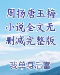 周扬唐玉梅小说全文无删减完整版