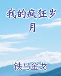 我的疯狂岁月